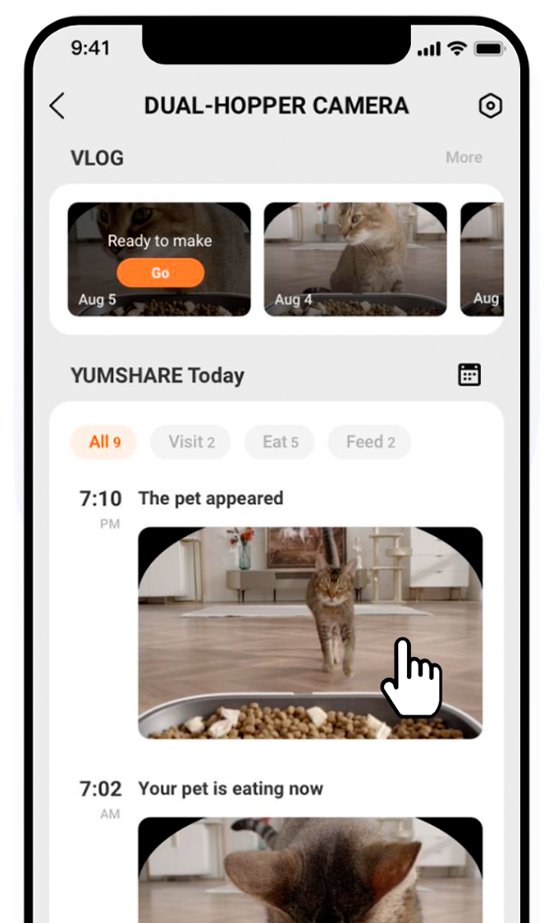 Ver las cámaras en vivo 24/7